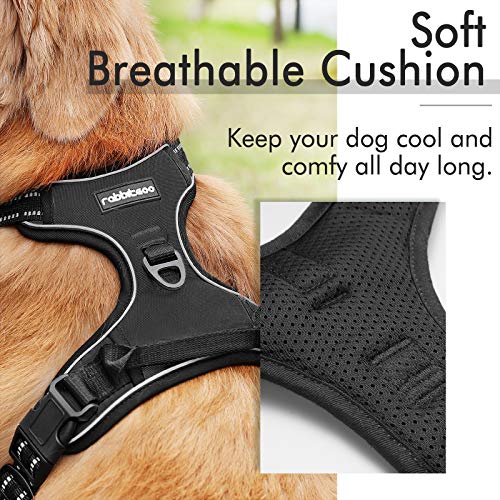 rabbitgoo Dog Harness, No-Pull Pet Harness with 2 Leash Clips, Adjustable Soft Padded Dog Vest, Reflective No-Choke Pet Oxford Vest with Easy Control Handle for Large Dogs, Black, L