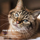Freshening Cat Grooming Wipes with Aloe Vera | 100 ct Pouch