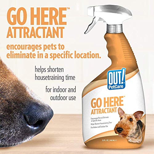 PetCare Go Here Attractant Dog Training Spray - 32 oz