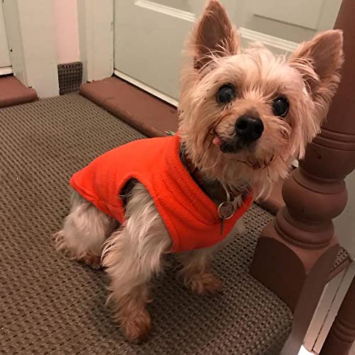 Pumpkin Fleece Dog Vest with Leash Ring - Large