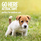 PetCare Go Here Attractant Dog Training Spray - 32 oz