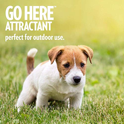 PetCare Go Here Attractant Dog Training Spray - 32 oz