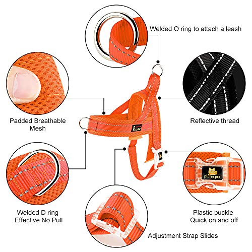 Plutus Pet No Pull Dog Harness with Breathable Mesh Padded, Adjustable Reflective Escape Proof Dog Harness, Quick Fit Dog Vest Harness for Small Medium Large Dogs(S, Orange)