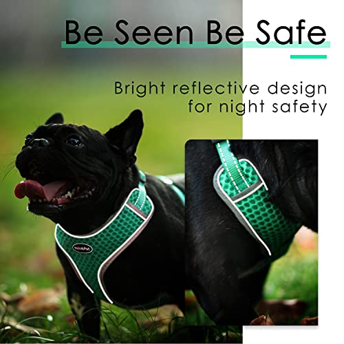 ThinkPet Reflective Breathable Soft Air Mesh No Pull Puppy Choke Free Over Head Vest Harness for Puppy Small Medium Dogs and Cats Teal Small