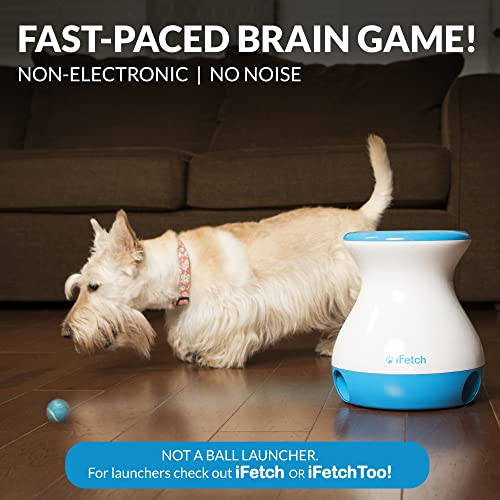 iFetch Frenzy – Non-electric brain game for small dogs! Drop the ball, watch it roll randomly, and keep your pup engaged. No power needed, just fun! 🎾🐶