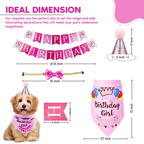 Dogs Deserve It Girl Dog Birthday Party Supplies 8 Pieces