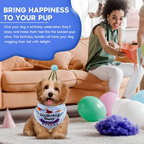 Dogs Deserve It Boy Dog Birthday Party Supplies 8 Pieces