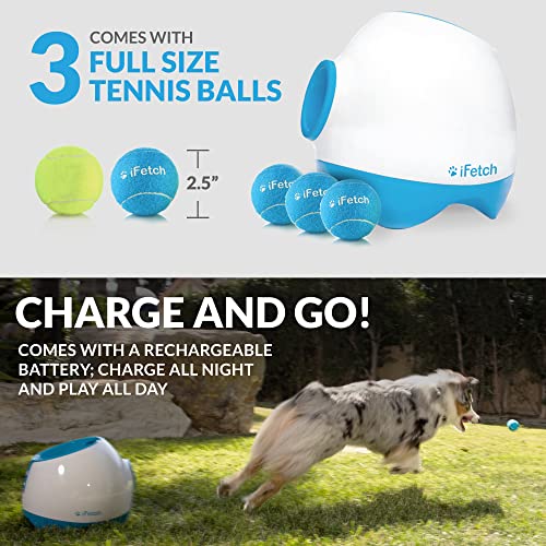 Fun iFetch Frenzy Fetch Toy - Non-Electronic Brain Teaser for Small Dog Playtime.