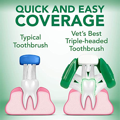 Dog Toothbrush & Enzymatic Toothpaste Kit for Cleaner Teeth