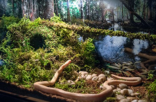 6" Galápagos Mossy Cave Hide - A cozy, moss-covered hide for reptiles and amphibians.