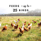 Easy-to-clean 10-pound poultry feeder made from BPA-free plastic