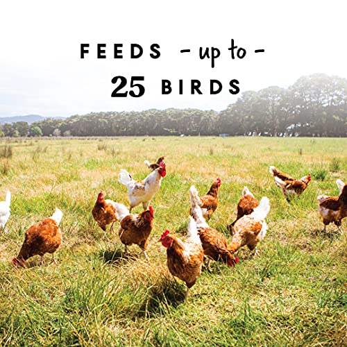 10 lb Harris Farms Free Range Hanging Poultry Feeder, White