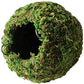 Galápagos Mossy Cave Hide 6" - Perfect hideout for reptiles with natural green sphagnum moss.