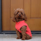 Pumpkin Fleece Dog Vest with Leash Ring - Large