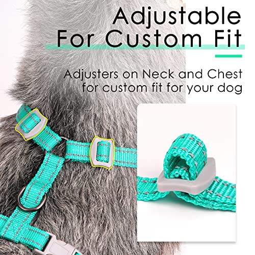 ThinkPet Reflective Breathable Soft Air Mesh No Pull Puppy Choke Free Over Head Vest Harness for Puppy Small Medium Dogs and Cats Teal Small