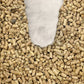 Natural Pine Wood Cat Litter Pellets