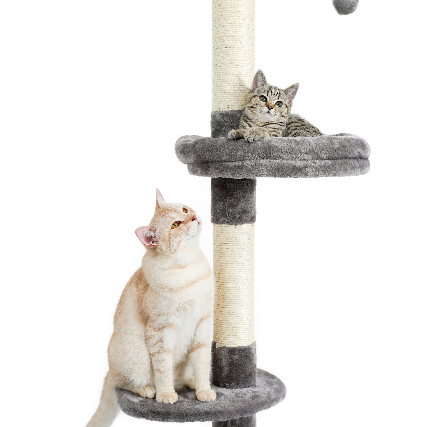 Modern Cat Climbing Tree Four Tier Floor-to-Ceiling Tower 94.5-102.4 in with a Scratcher Beige